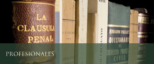 Macedo Profesionales